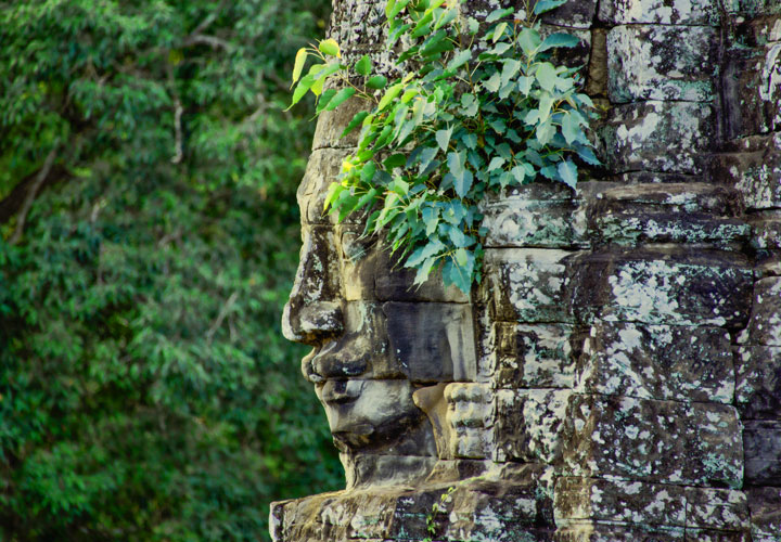 Siem Reap Hotels