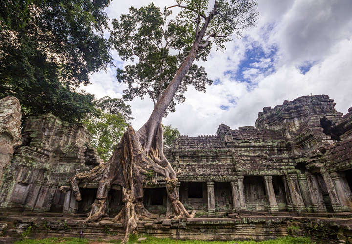 Ta Prohm Temple