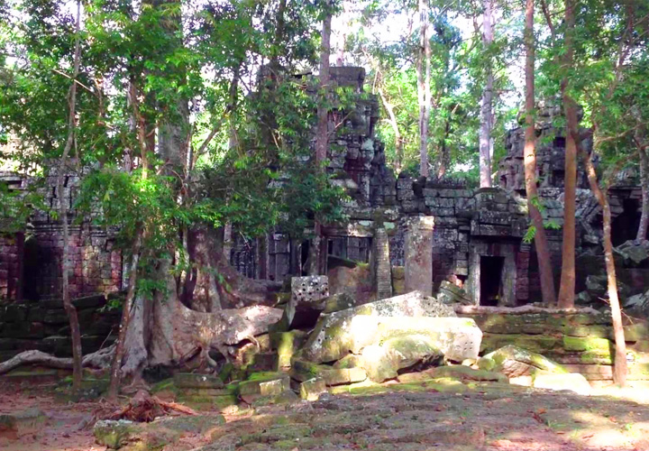 Taney Temple